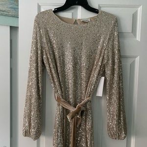 Champagne sparkly dress, with velour tie. Purchased from Red Dress Boutique